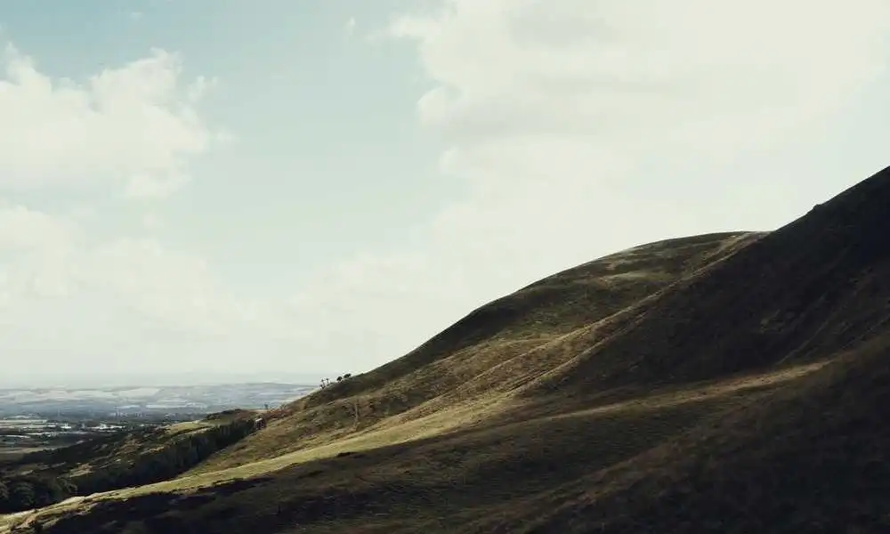 沪语新潮流：她的脱口秀成方言速成班，八成沪漂靠它开口说上海话