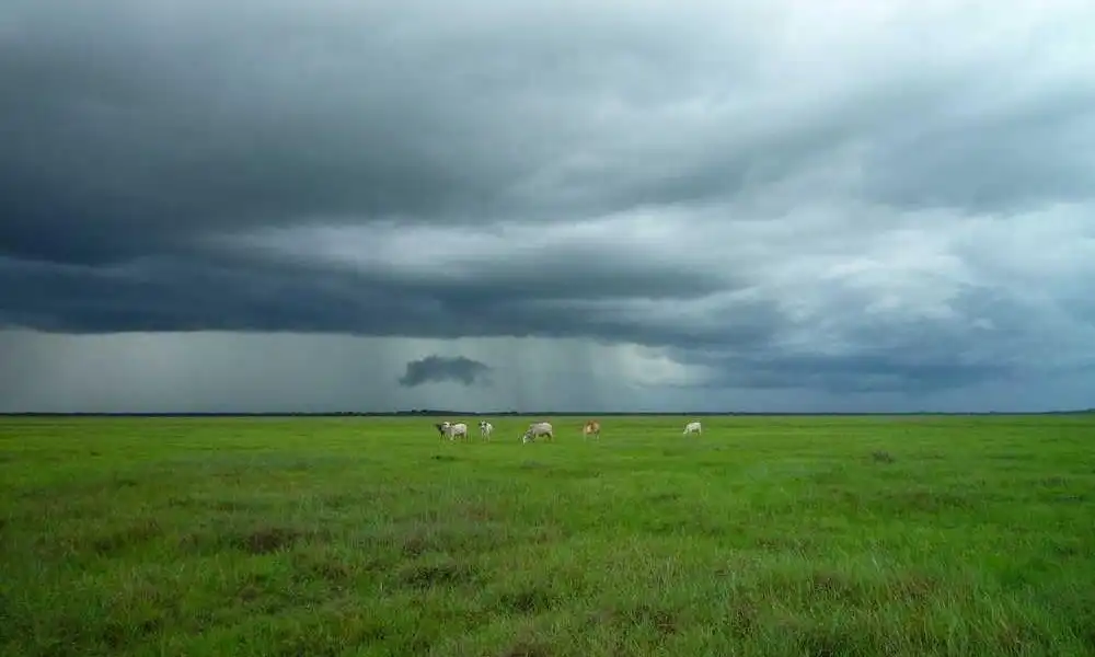 会馆开戏啦！古建变身沉浸式剧场，老戏新演引爆文化破圈潮