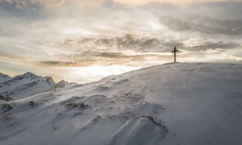 《疯狂动物城2》引爆热潮！上海迪士尼破亿游客背后的魔法续章