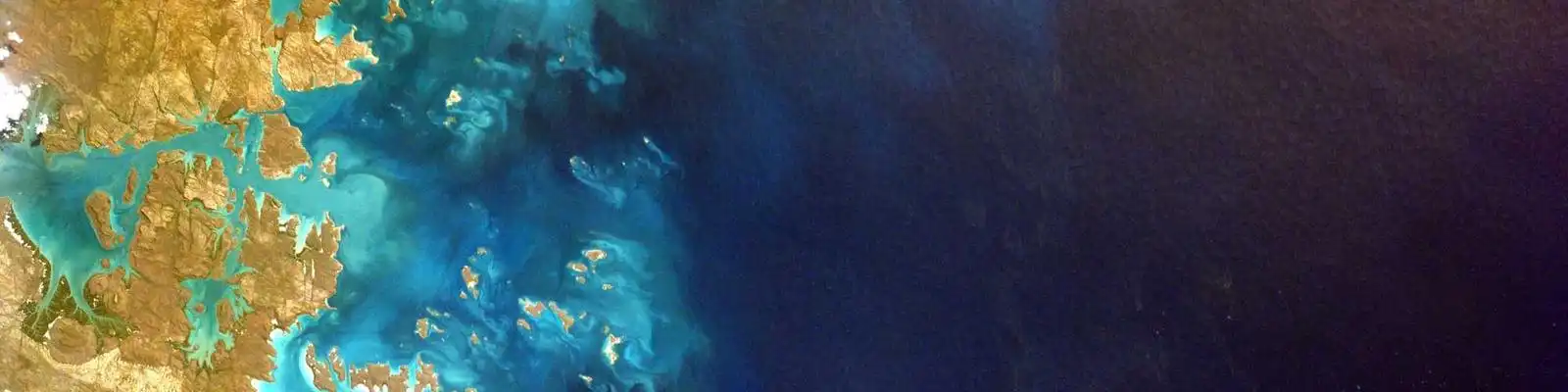 《生死赌局引爆全网！《猎杀游戏》全民围猎真人秀震撼登场》