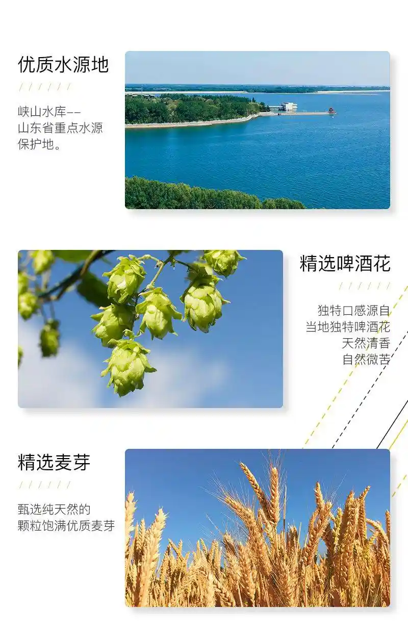 F PARTY·锐马德式小麦：一场颠覆味觉的叙事革命