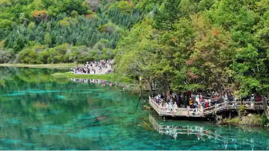 九寨沟秋色爆燃！彩林铺展如仙境，摄影大神直呼美到窒息