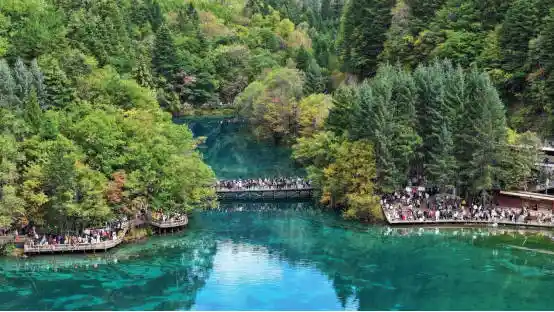 九寨沟秋色爆燃!彩林铺展如仙境,摄影大神直呼美到窒息