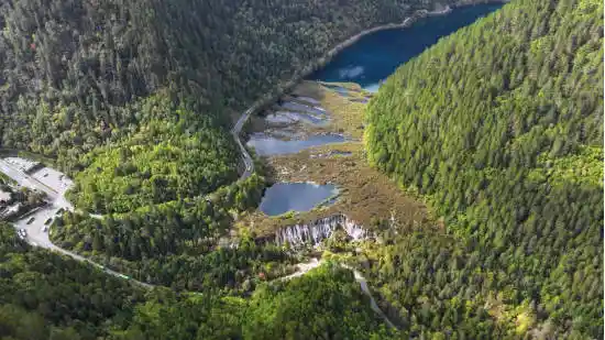 九寨沟秋色爆燃!彩林铺展如仙境,摄影大神直呼美到窒息