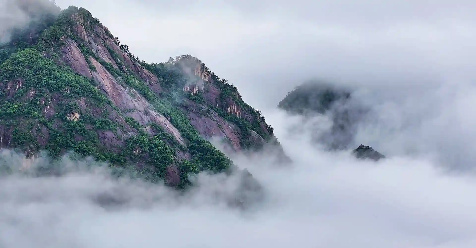 百元内酱香酒新选择：纯粮酿造高性价比，宴客聚会首选
