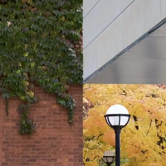 11张让人毛骨悚然的神秘照片,看得越多越惊悚