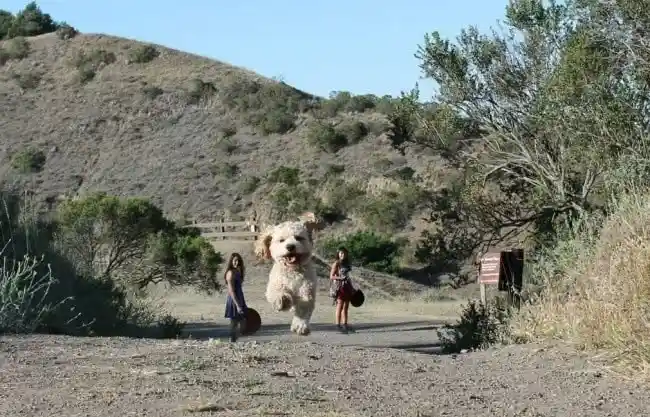 11张让人毛骨悚然的神秘照片,看得越多越惊悚