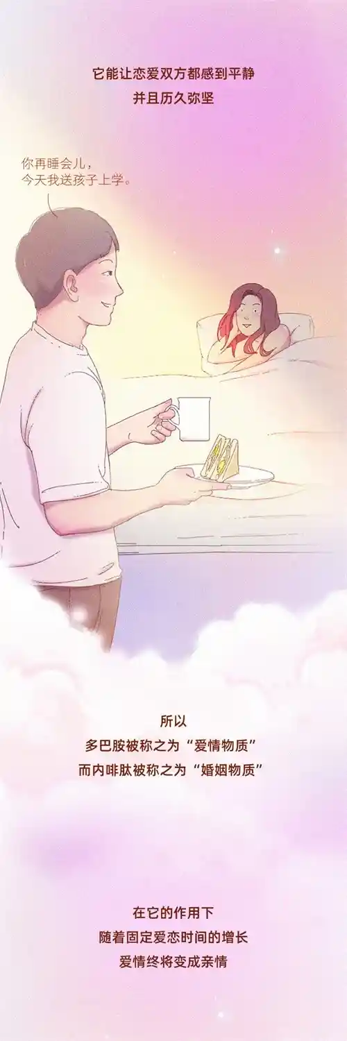 爱情的本质:你真的了解吗?