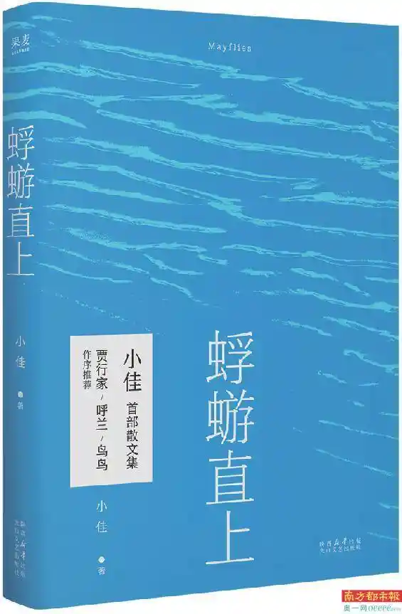 《蜉蝣直上：生命之光的极限绽放》