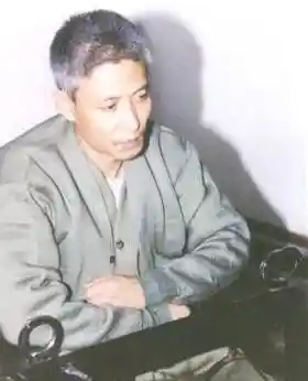 14名律师力保‘掌掴刘德华’黑老大刘涌：一场震惊娱乐圈的减刑风波