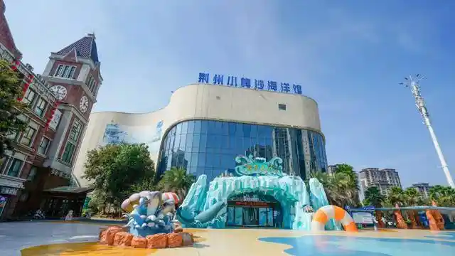 荆州小梅沙海洋馆焕新升级，打造全新海底奇幻乐园