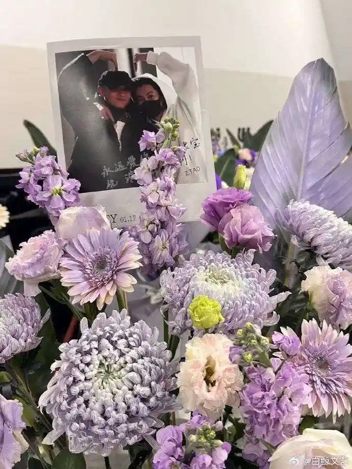 33个花篮炸场！黄子韬王鹤棣玩梗上头引热议