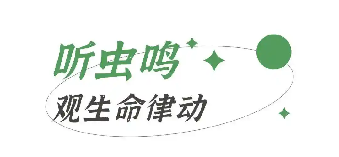 惊雷唤醒沉睡大地，四时书阁带你走进春的序章