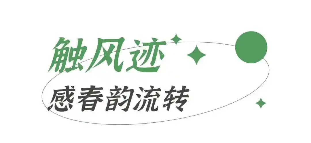 惊雷唤醒沉睡大地，四时书阁带你走进春的序章