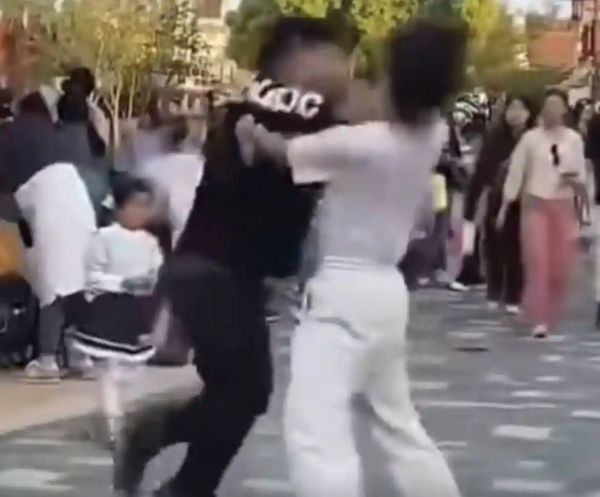 男子因劝阻抽烟被殴起诉上海迪士尼：要求书面道歉与安全保障责任认定